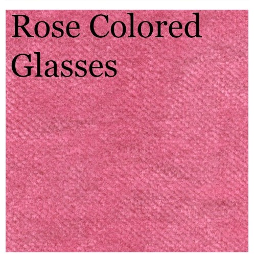 Rose Colored Glasses Velvet